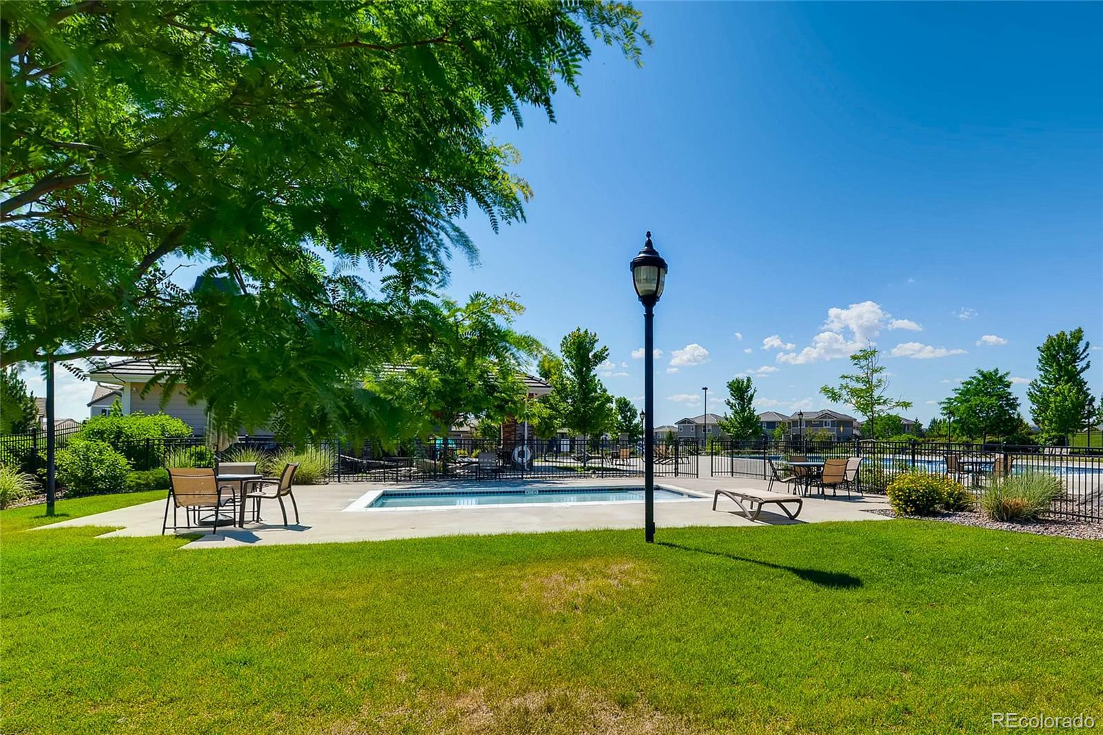 MLS Image #29 for 10081  bristleridge street,parker, Colorado