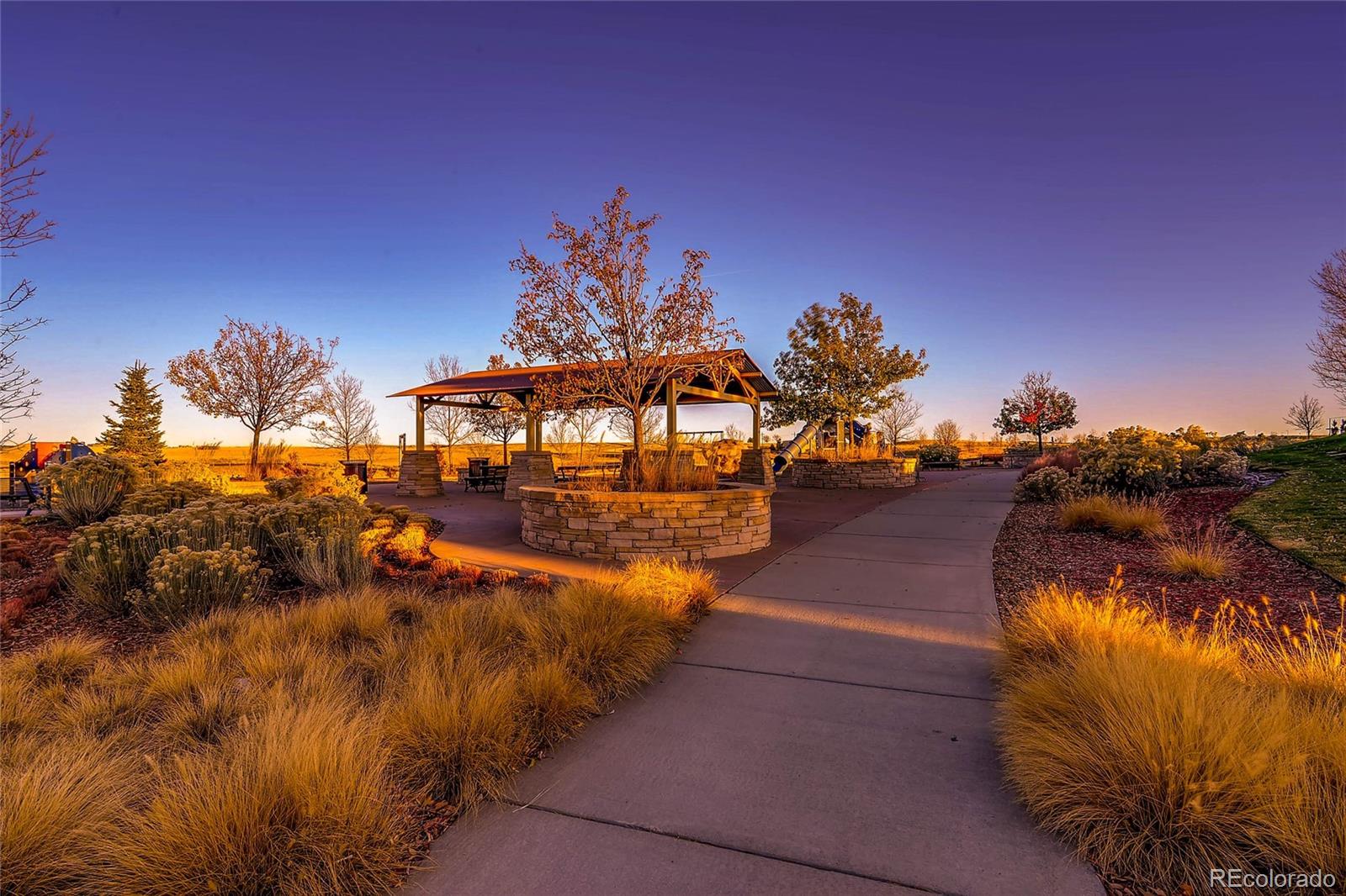 MLS Image #33 for 10081  bristleridge street,parker, Colorado