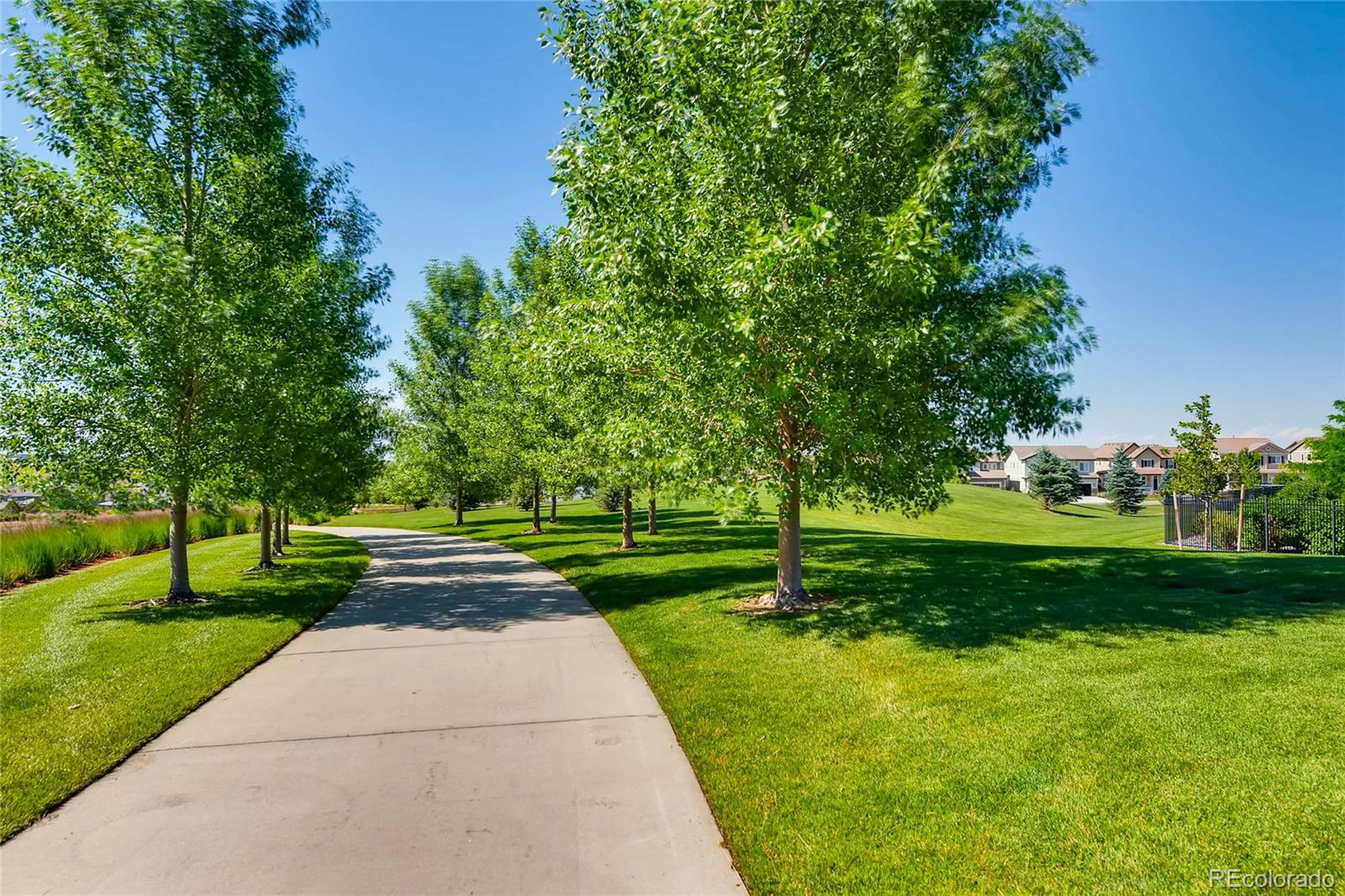 MLS Image #34 for 10081  bristleridge street,parker, Colorado