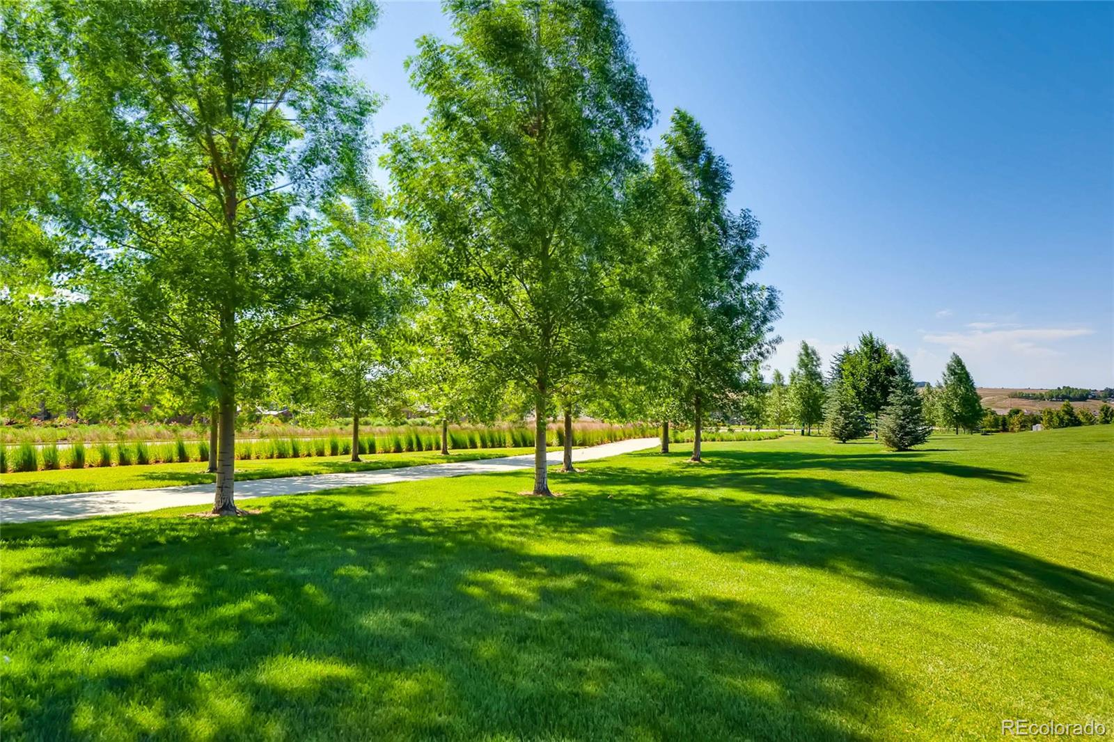 MLS Image #35 for 10081  bristleridge street,parker, Colorado