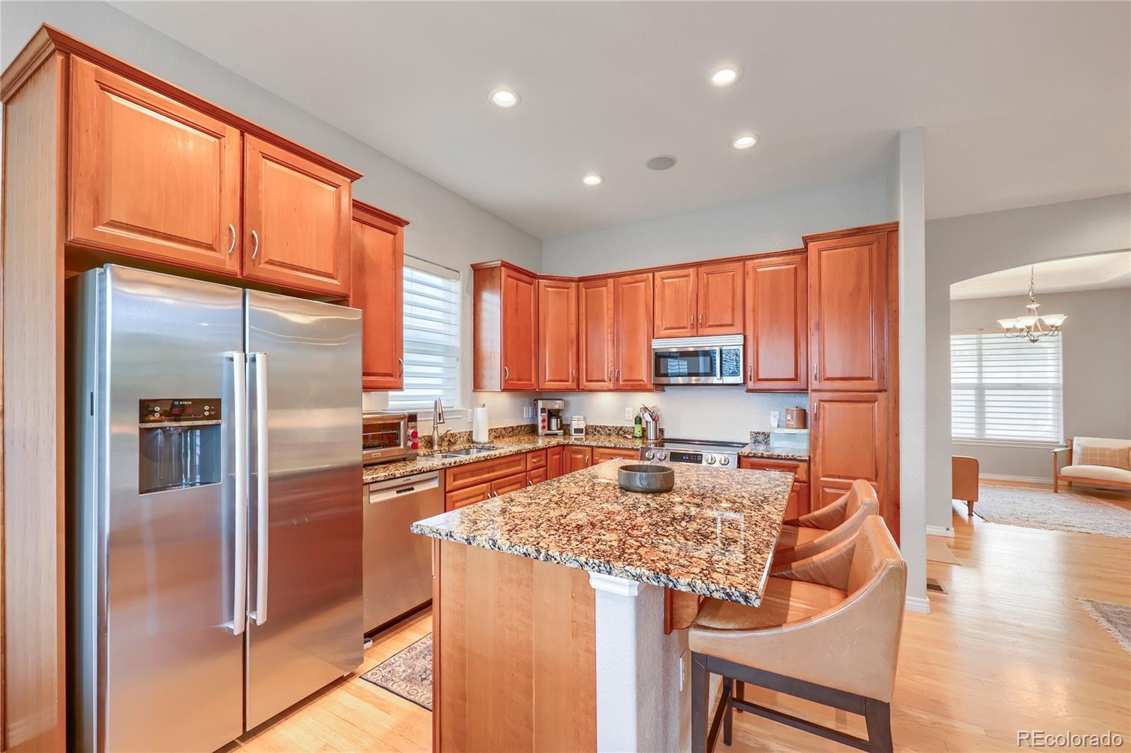 MLS Image #8 for 10081  bristleridge street,parker, Colorado
