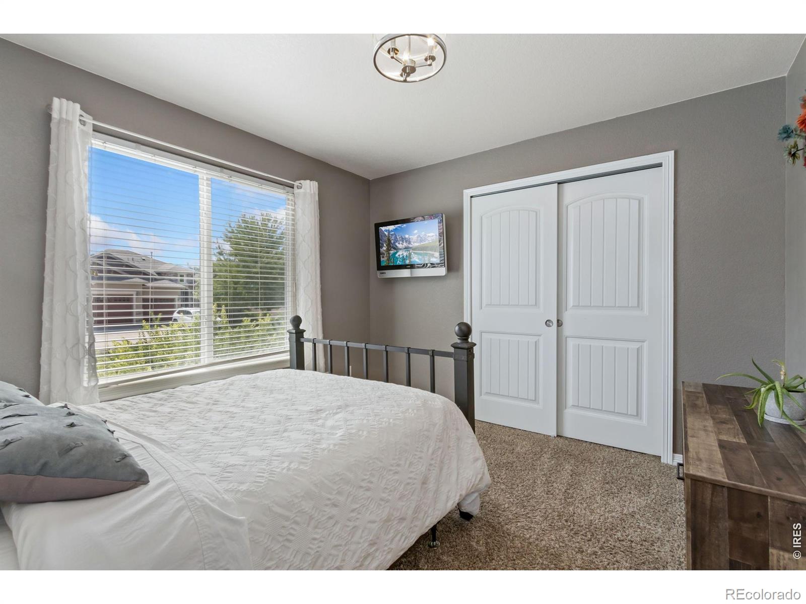 MLS Image #19 for 7404  ladbroke drive,windsor, Colorado