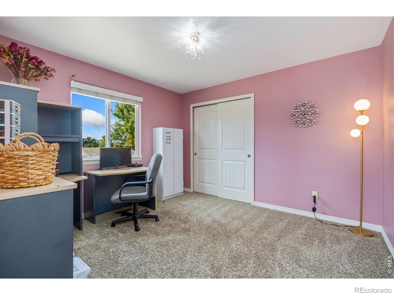 MLS Image #22 for 7404  ladbroke drive,windsor, Colorado