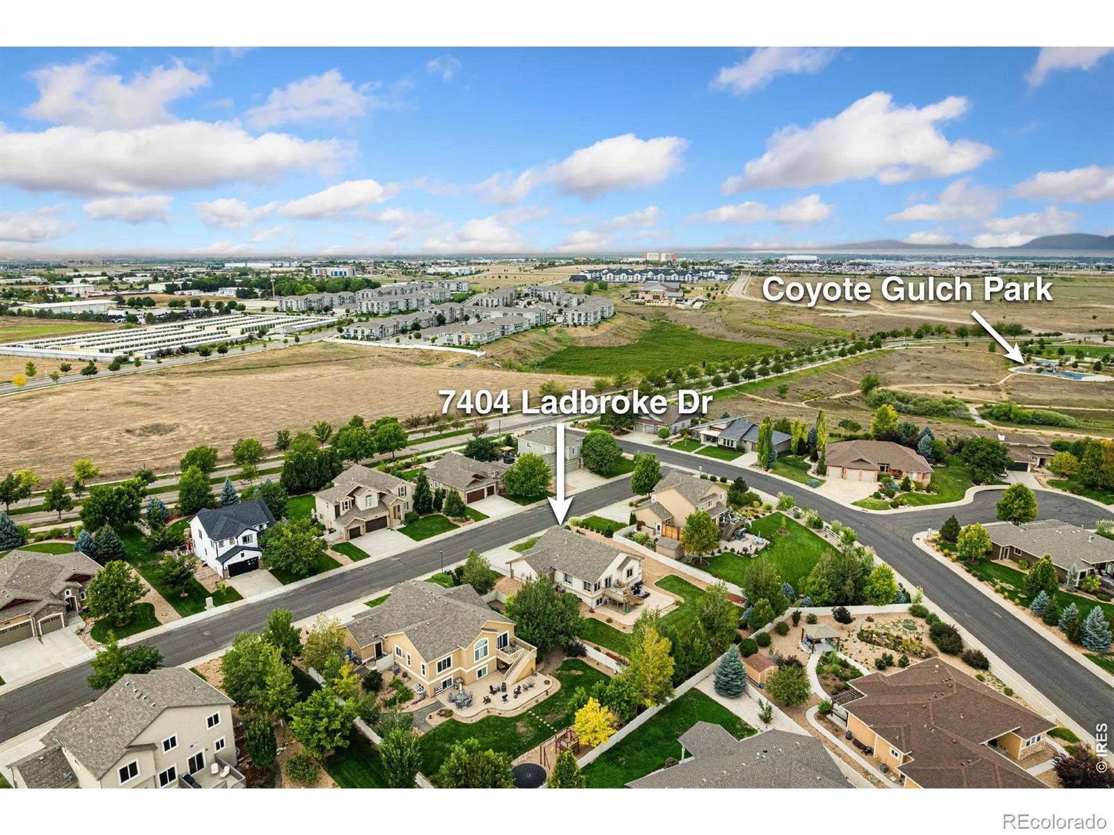 MLS Image #46 for 7404  ladbroke drive,windsor, Colorado