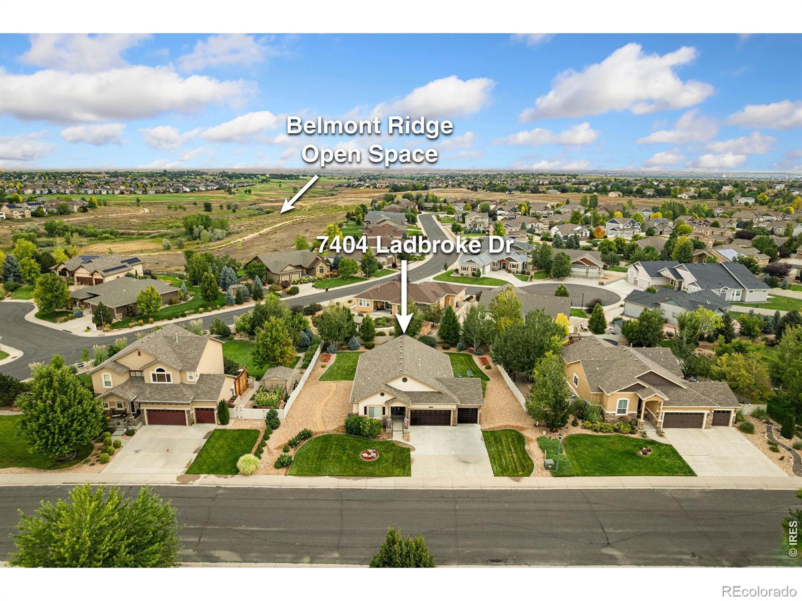 MLS Image #47 for 7404  ladbroke drive,windsor, Colorado