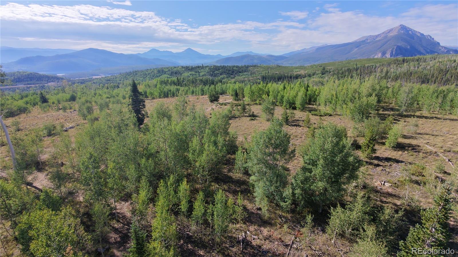 MLS Image #14 for 70  black diamond trail,silverthorne, Colorado