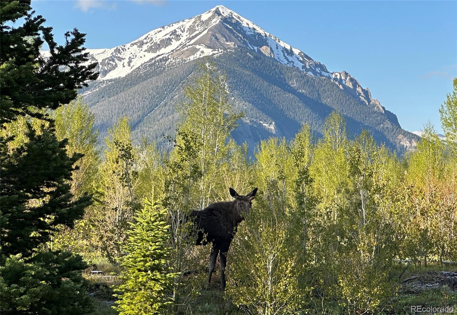 MLS Image #15 for 70  black diamond trail,silverthorne, Colorado