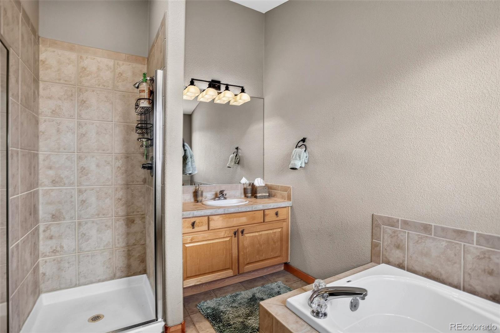 MLS Image #21 for 70  black diamond trail,silverthorne, Colorado