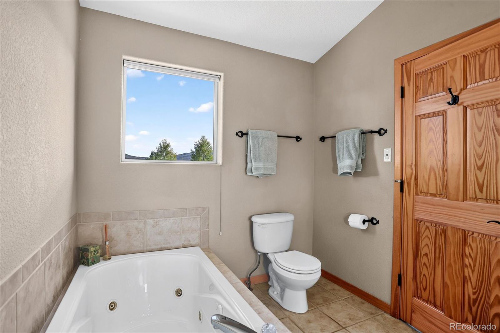 MLS Image #22 for 70  black diamond trail,silverthorne, Colorado