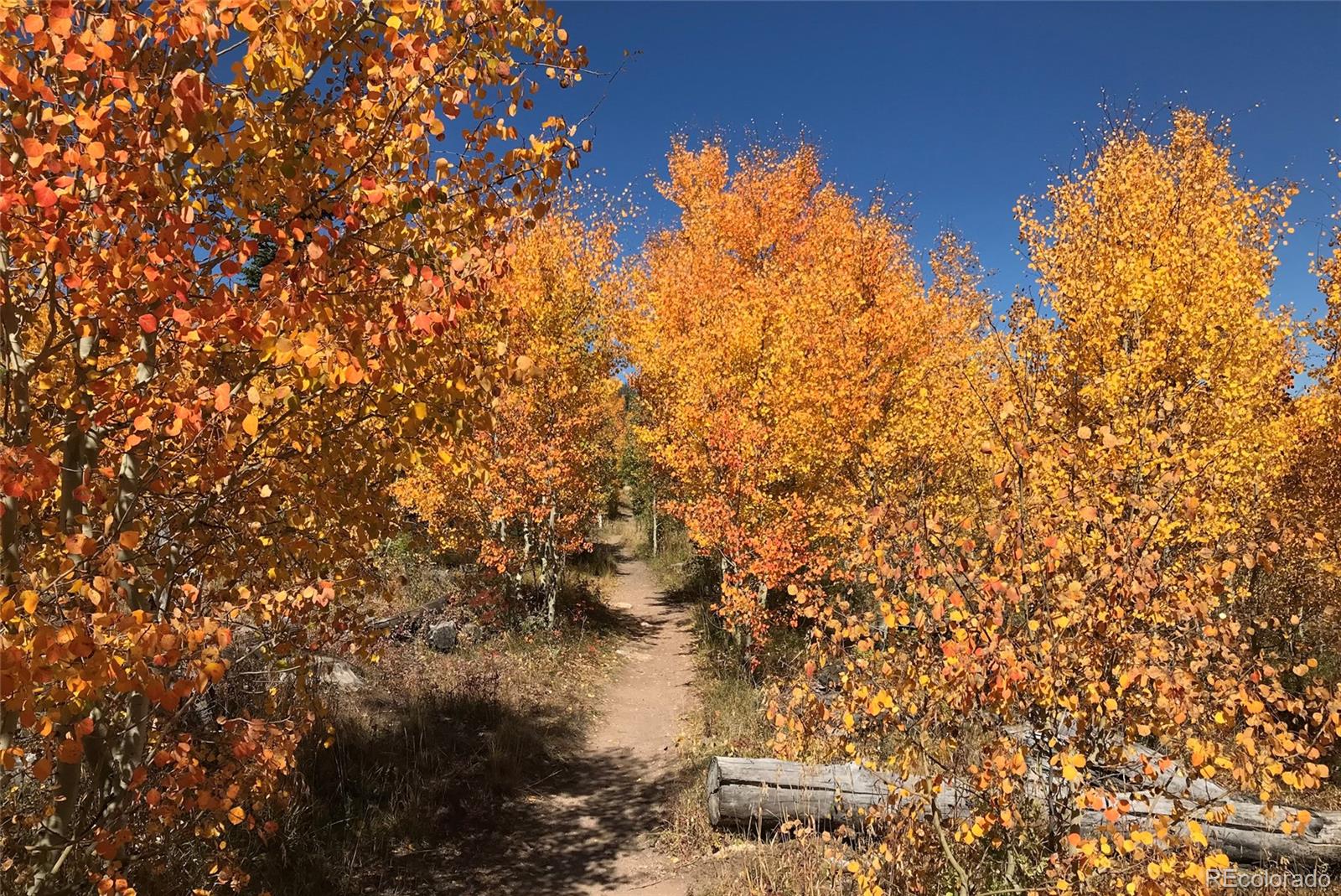 MLS Image #33 for 70  black diamond trail,silverthorne, Colorado