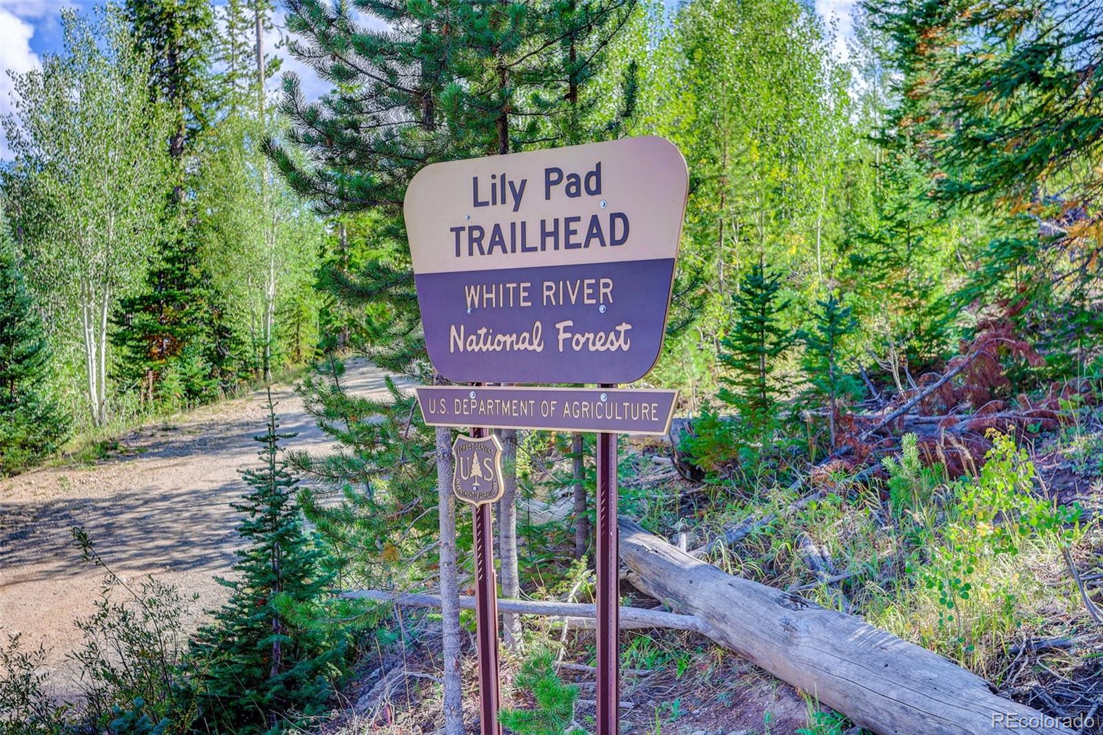 MLS Image #34 for 70  black diamond trail,silverthorne, Colorado
