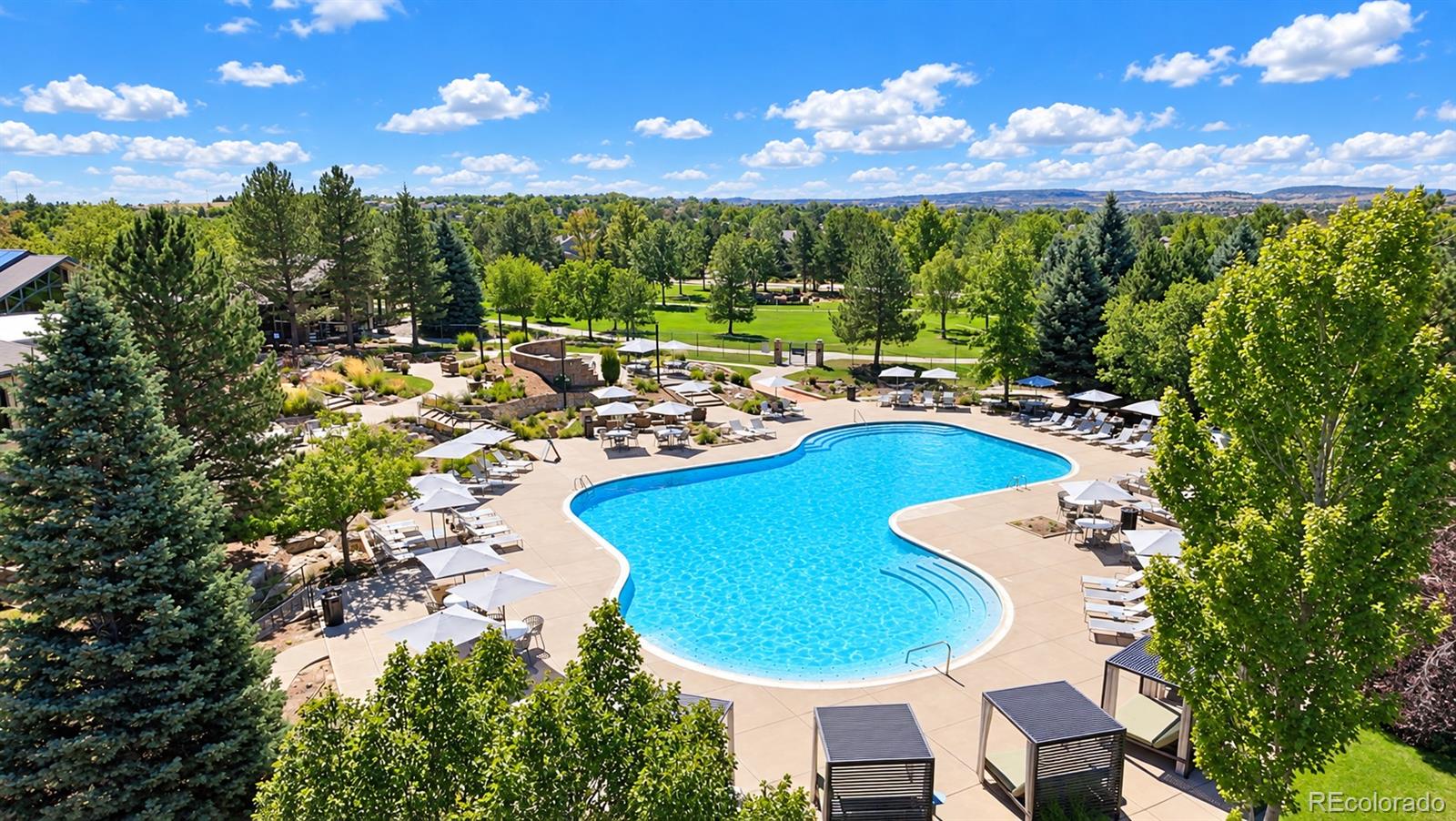 MLS Image #3 for 8614  gold peak drive b,highlands ranch, Colorado