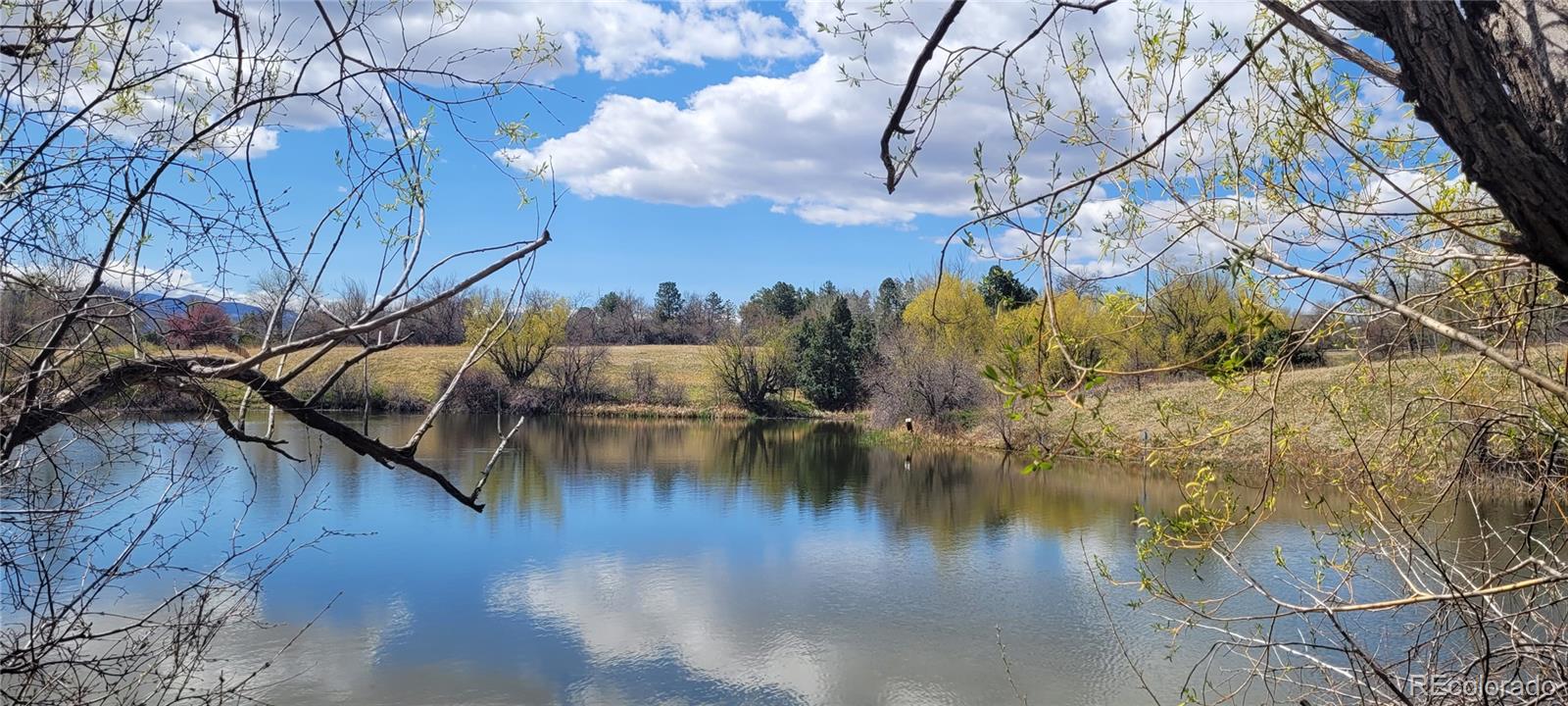 MLS Image #43 for 6150  carr street,arvada, Colorado