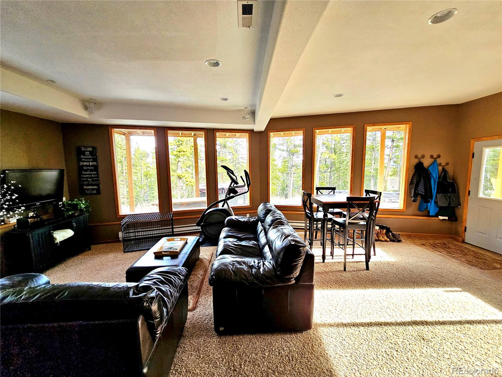 MLS Image #10 for 1678  cr-14a ,fairplay, Colorado