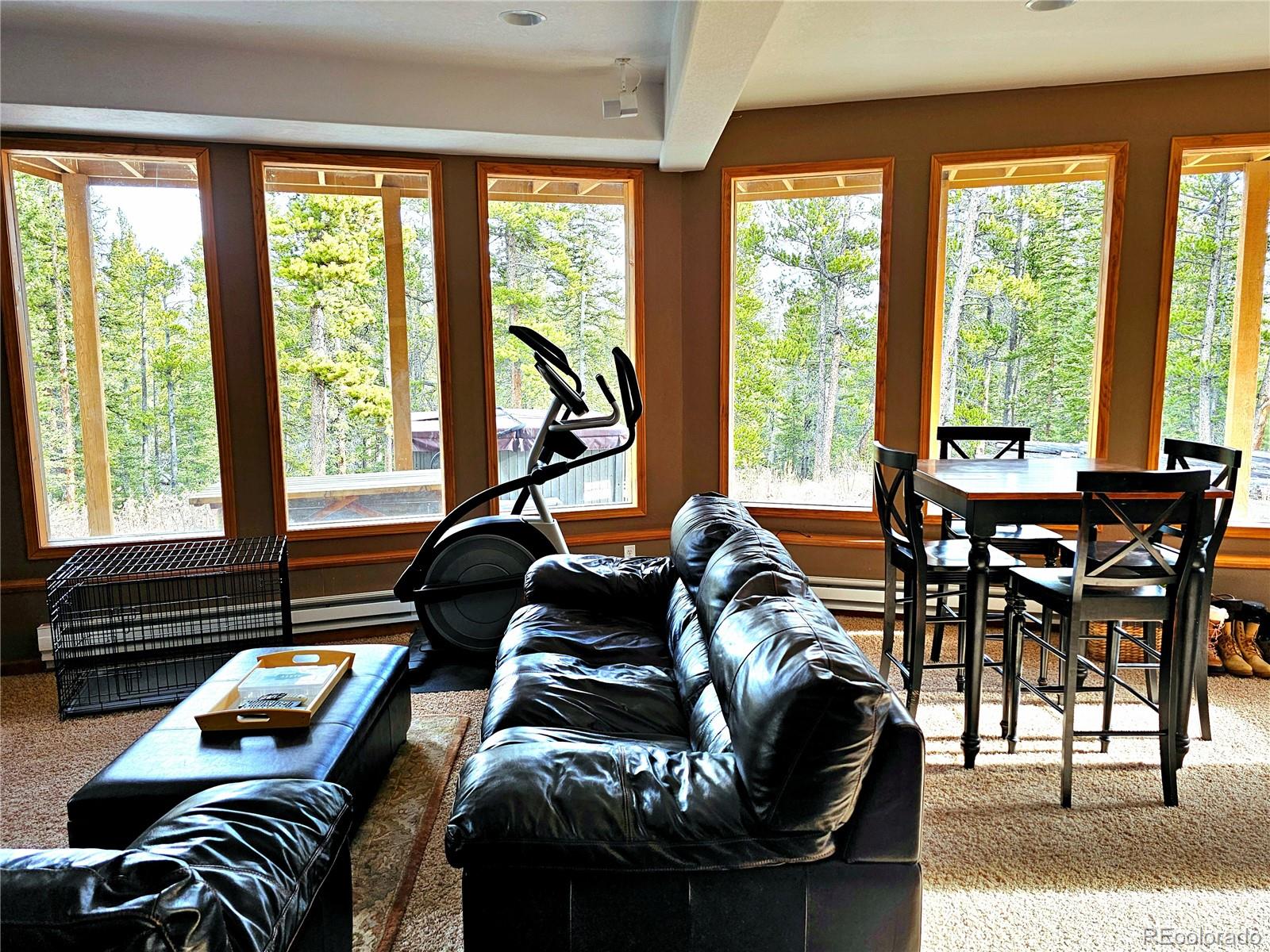 MLS Image #11 for 1678  cr-14a ,fairplay, Colorado