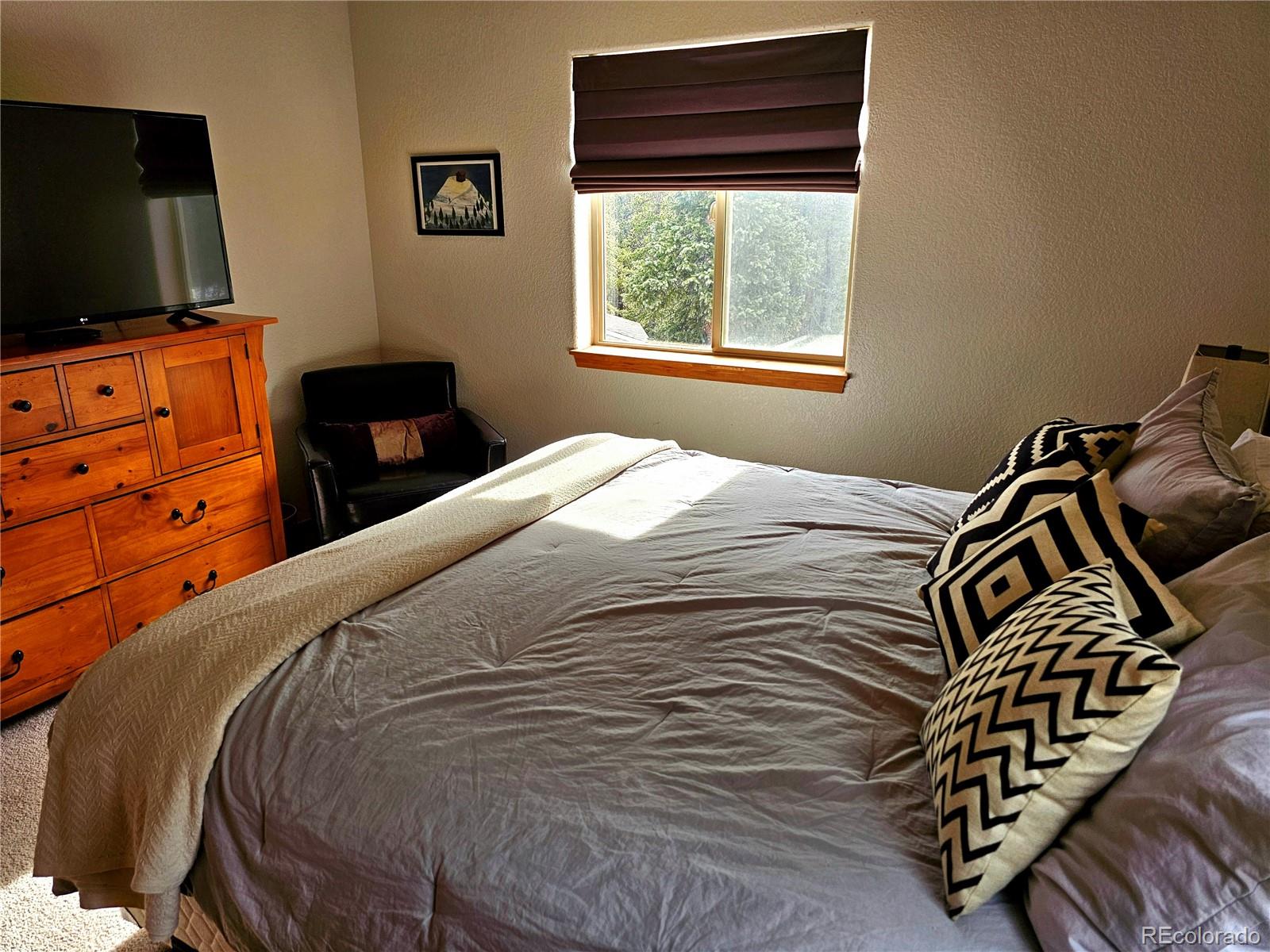 MLS Image #13 for 1678  cr-14a ,fairplay, Colorado
