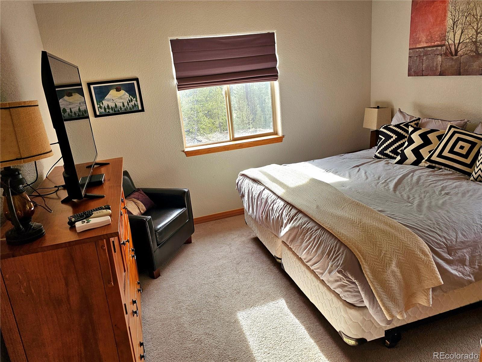 MLS Image #14 for 1678  cr-14a ,fairplay, Colorado