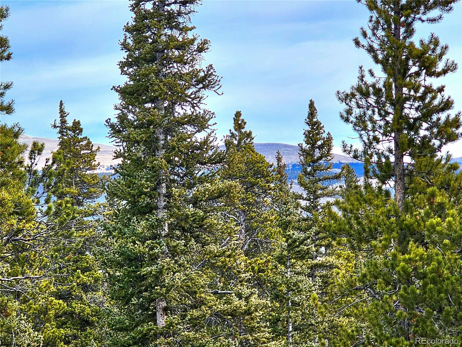 MLS Image #21 for 1678  cr-14a ,fairplay, Colorado