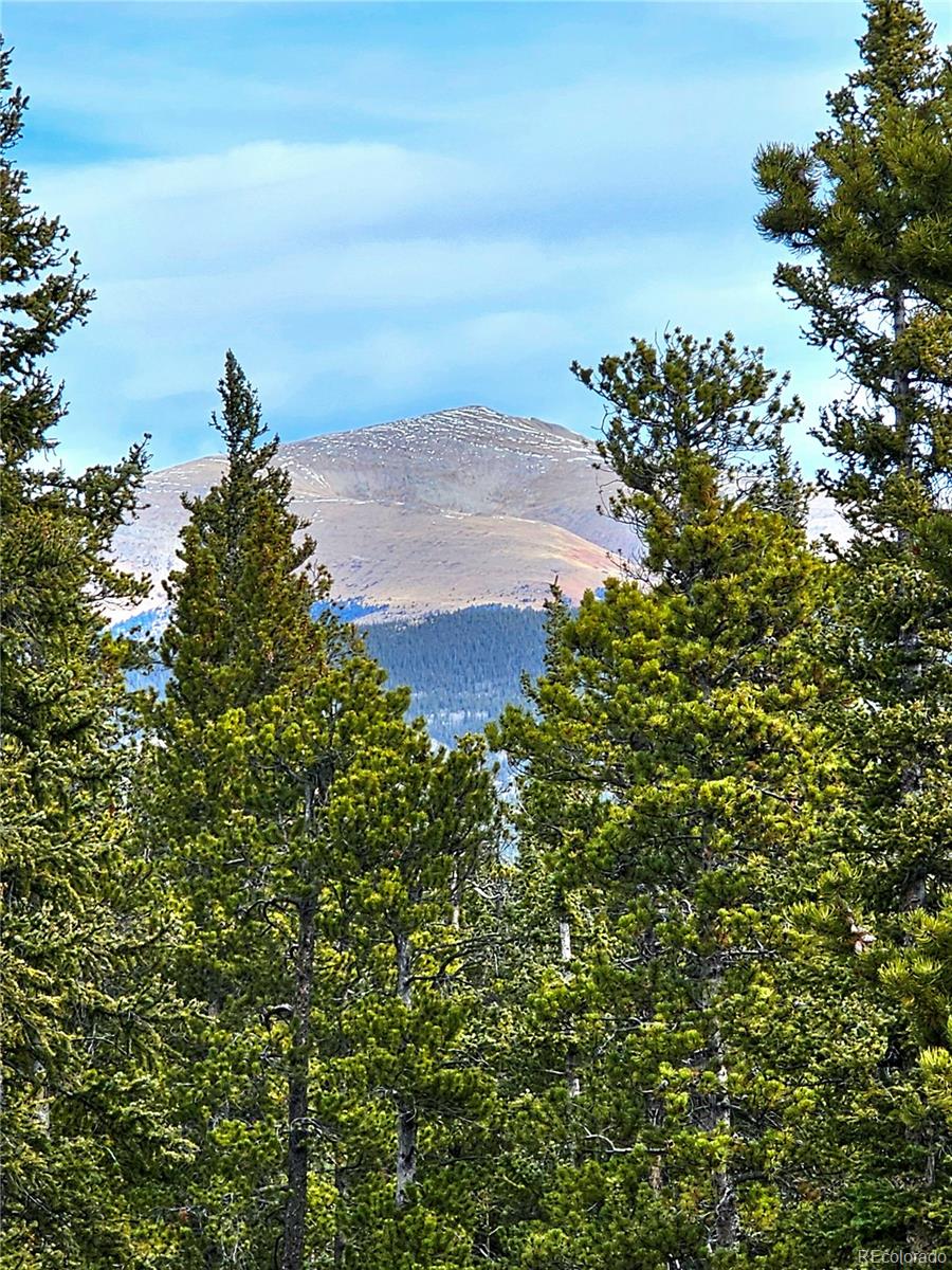 MLS Image #22 for 1678  cr-14a ,fairplay, Colorado