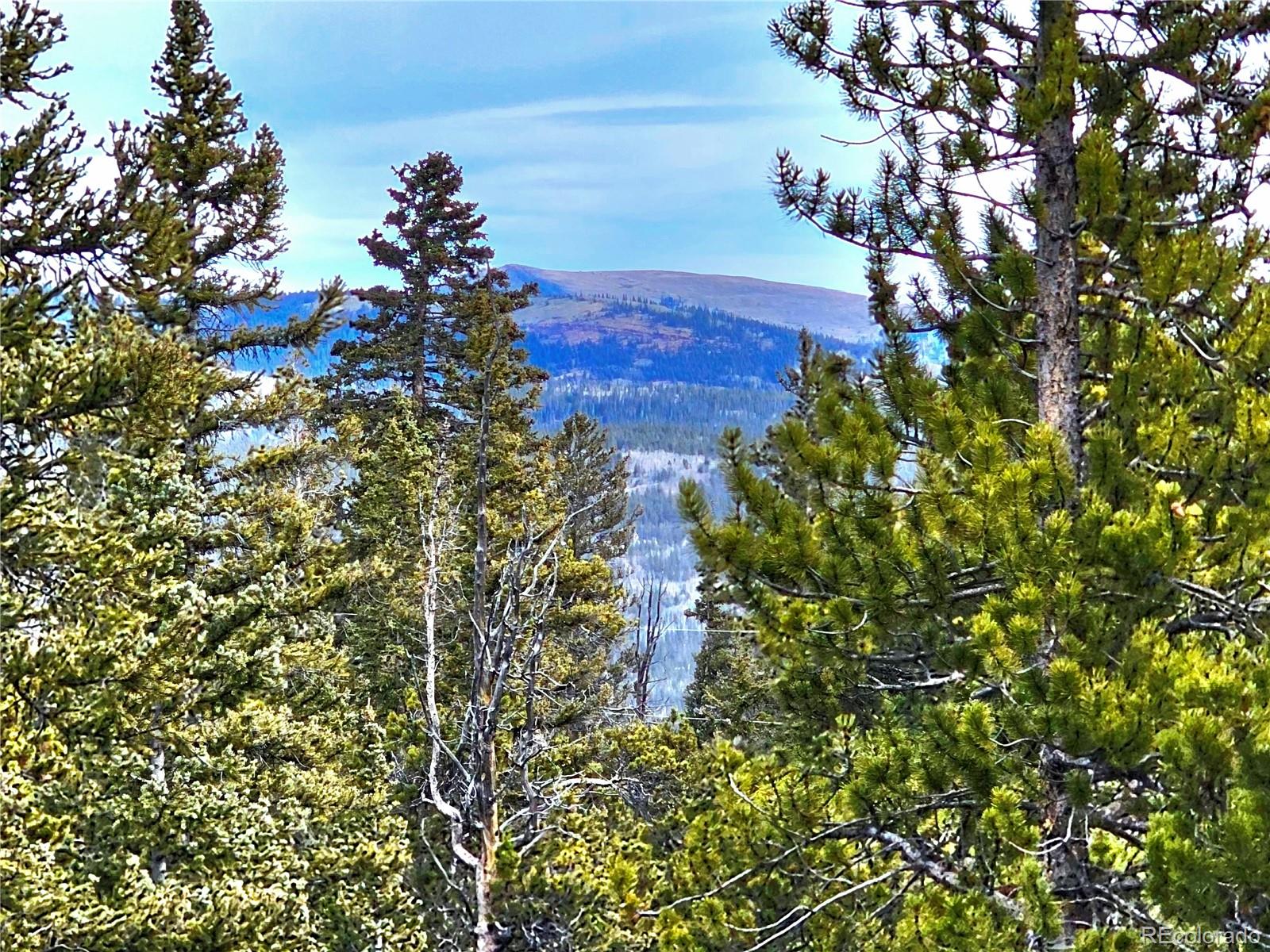 MLS Image #23 for 1678  cr-14a ,fairplay, Colorado