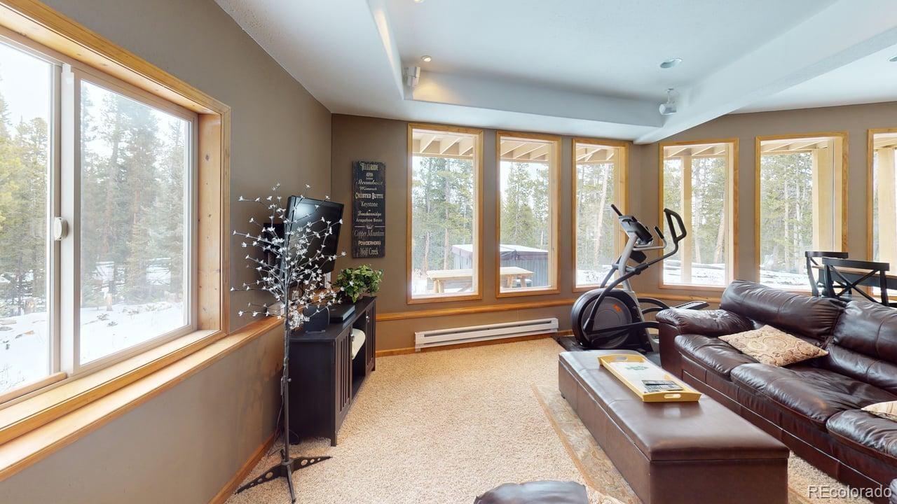 MLS Image #36 for 1678  cr-14a ,fairplay, Colorado