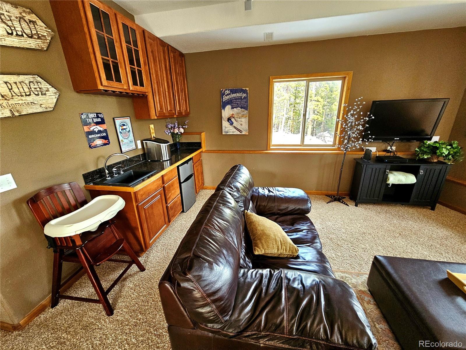 MLS Image #9 for 1678  cr-14a ,fairplay, Colorado