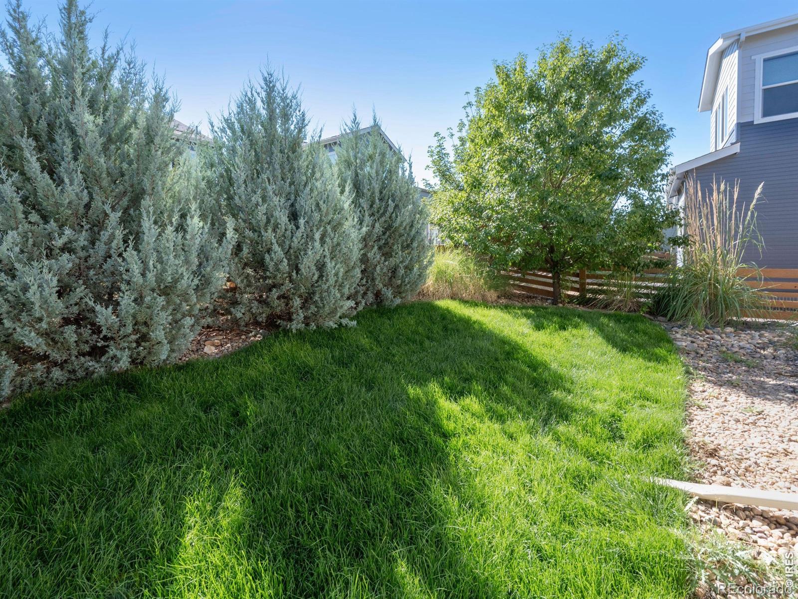 MLS Image #33 for 62  starlight circle,erie, Colorado