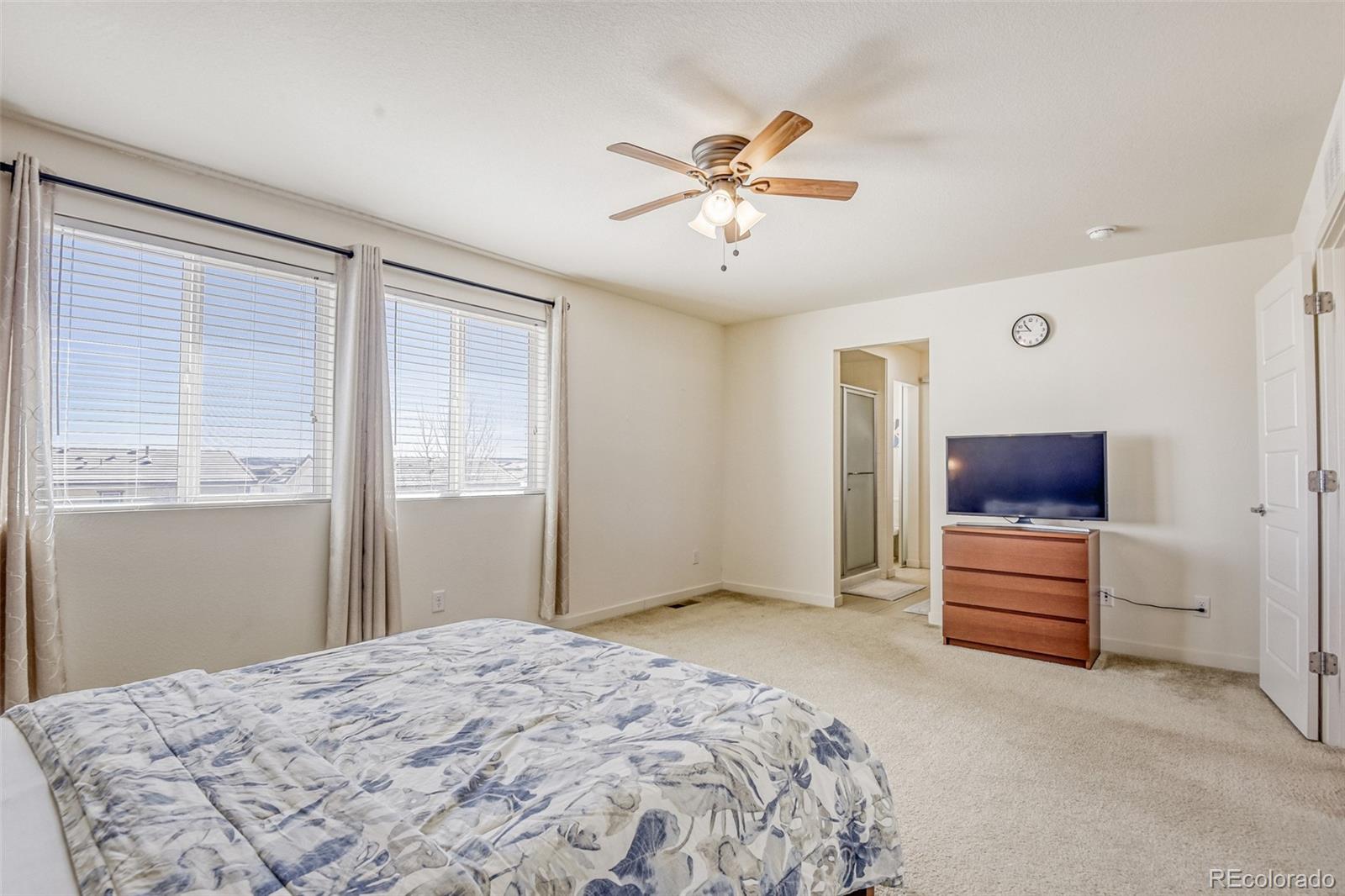 MLS Image #13 for 10890  touchstone loop,parker, Colorado