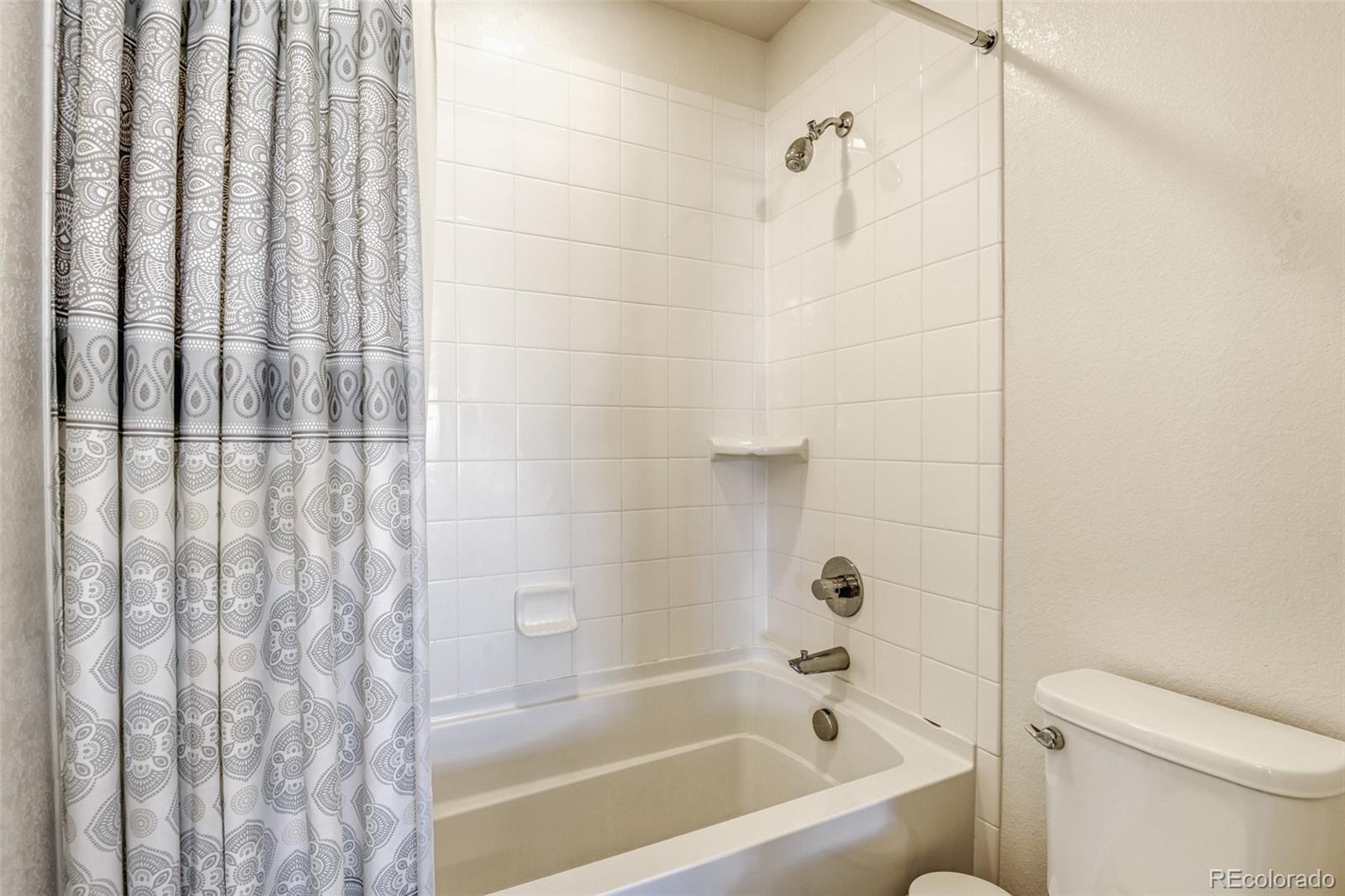 MLS Image #21 for 10890  touchstone loop,parker, Colorado