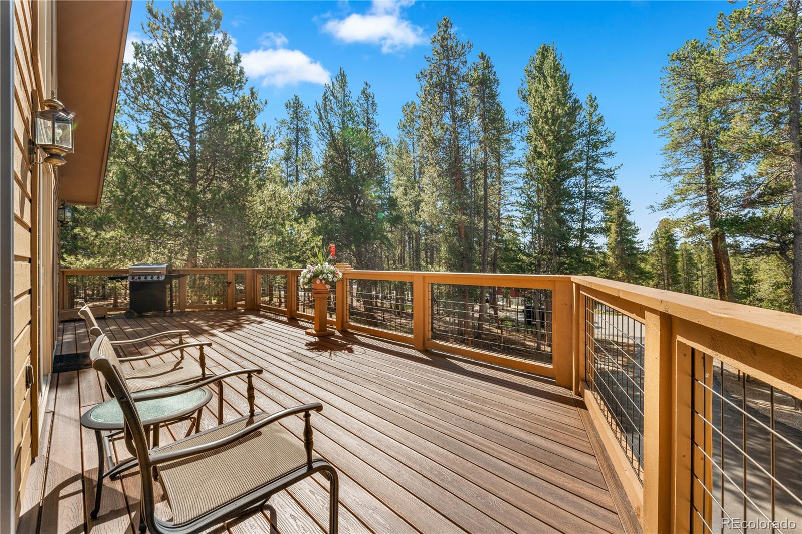 MLS Image #11 for 59  tabor drive,leadville, Colorado