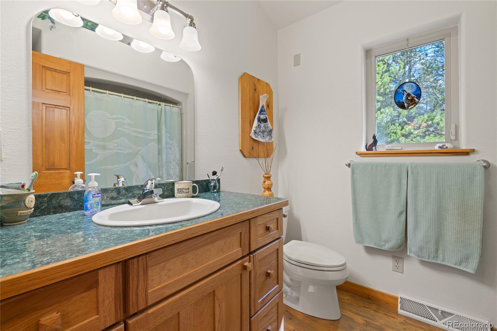 MLS Image #22 for 59  tabor drive,leadville, Colorado