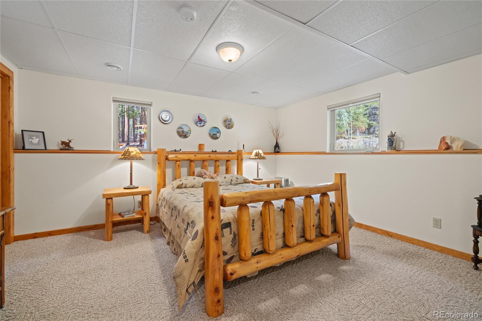 MLS Image #25 for 59  tabor drive,leadville, Colorado