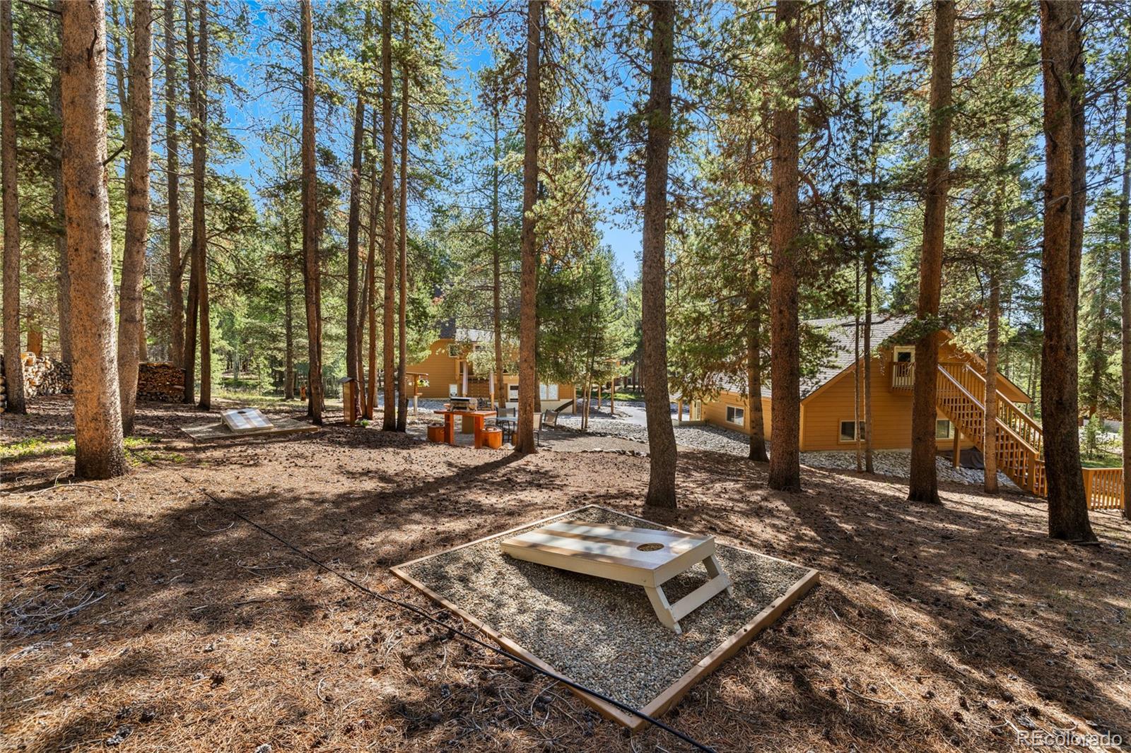 MLS Image #40 for 59  tabor drive,leadville, Colorado