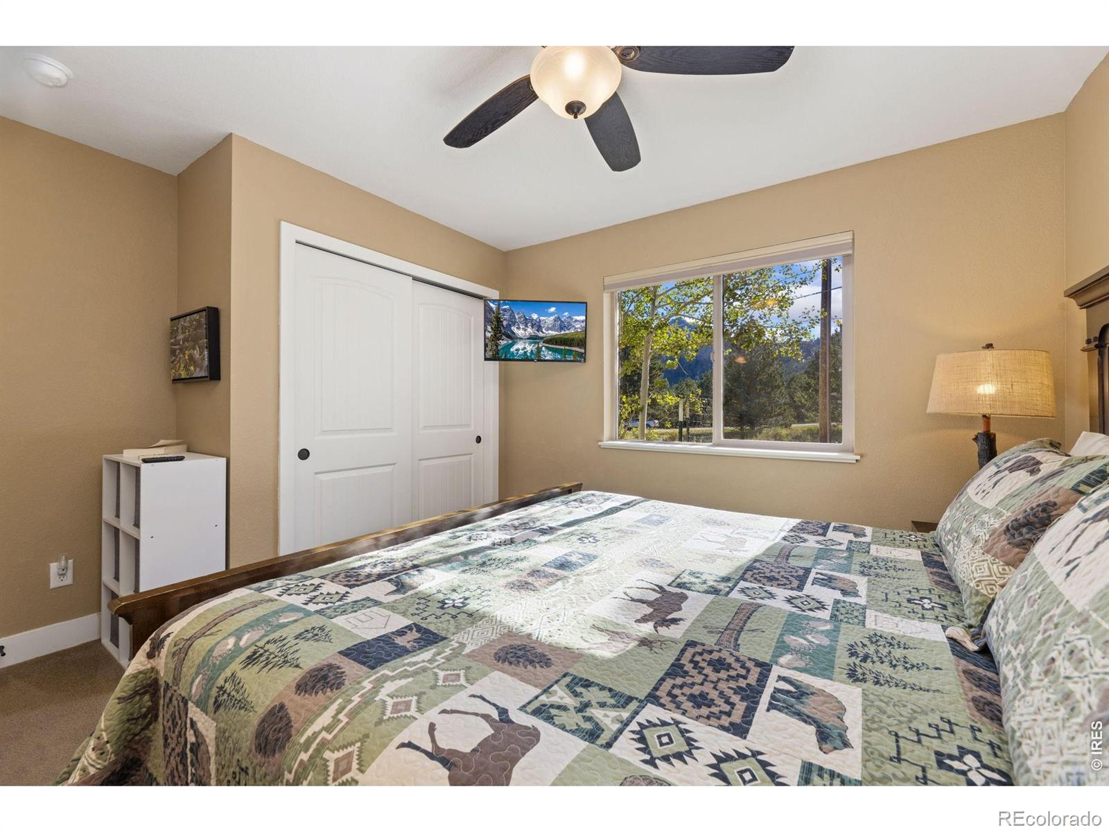 MLS Image #17 for 1553  marys lake road,estes park, Colorado