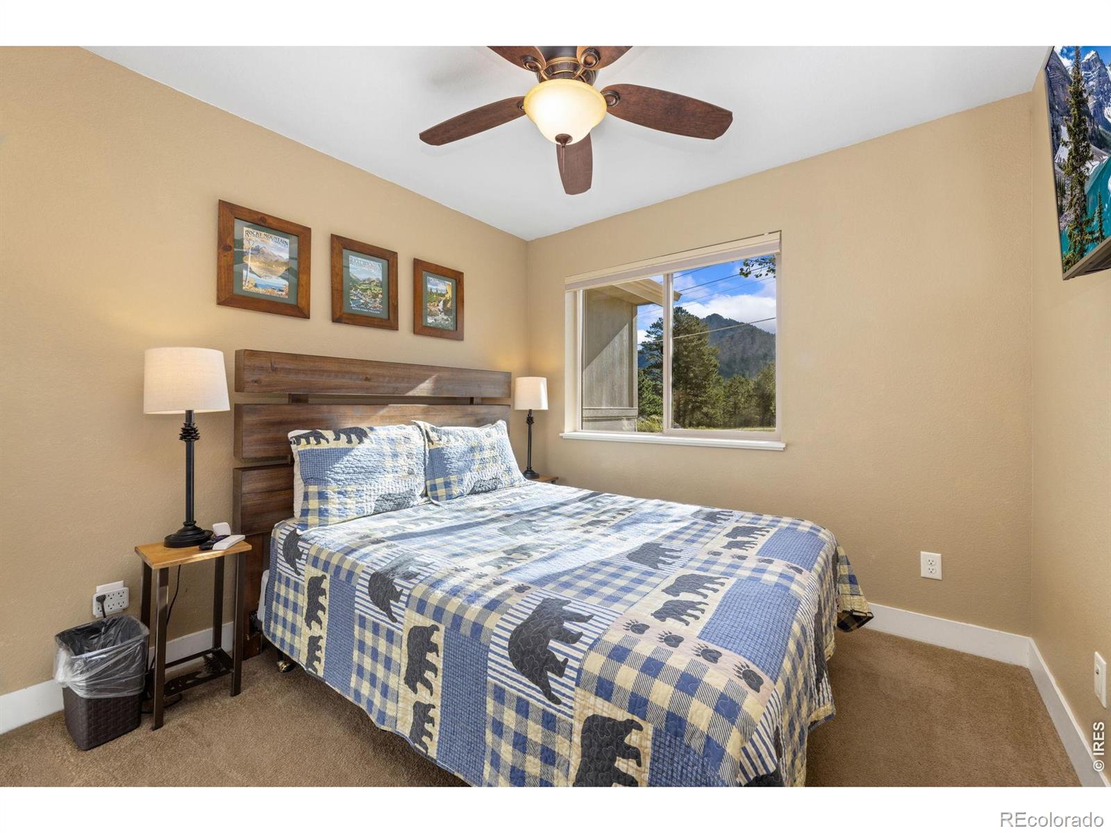 MLS Image #21 for 1553  marys lake road,estes park, Colorado