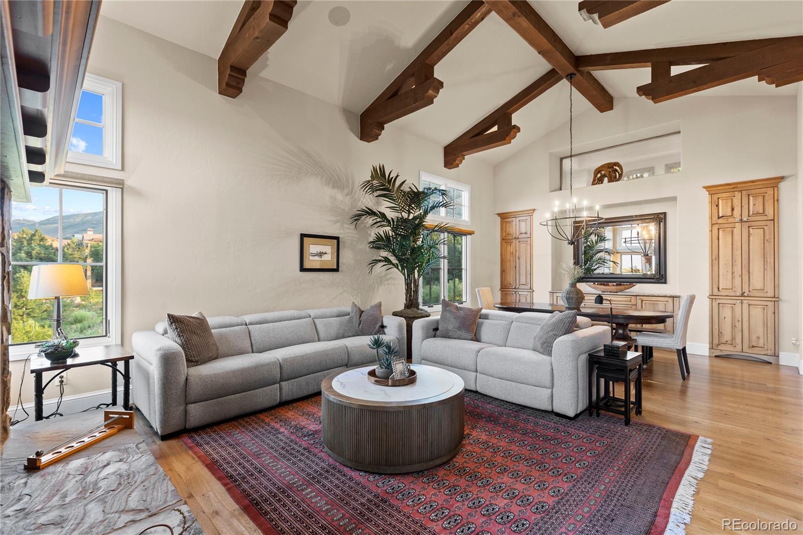 MLS Image #12 for 8002  galileo way,littleton, Colorado