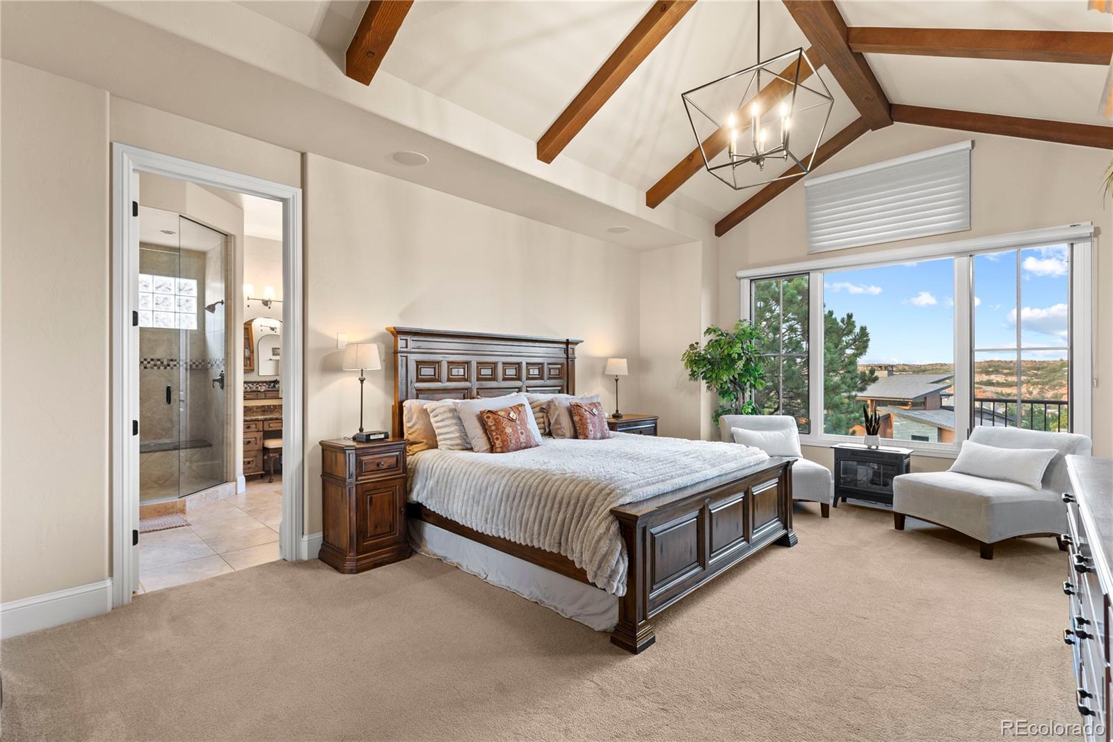 MLS Image #17 for 8002  galileo way,littleton, Colorado