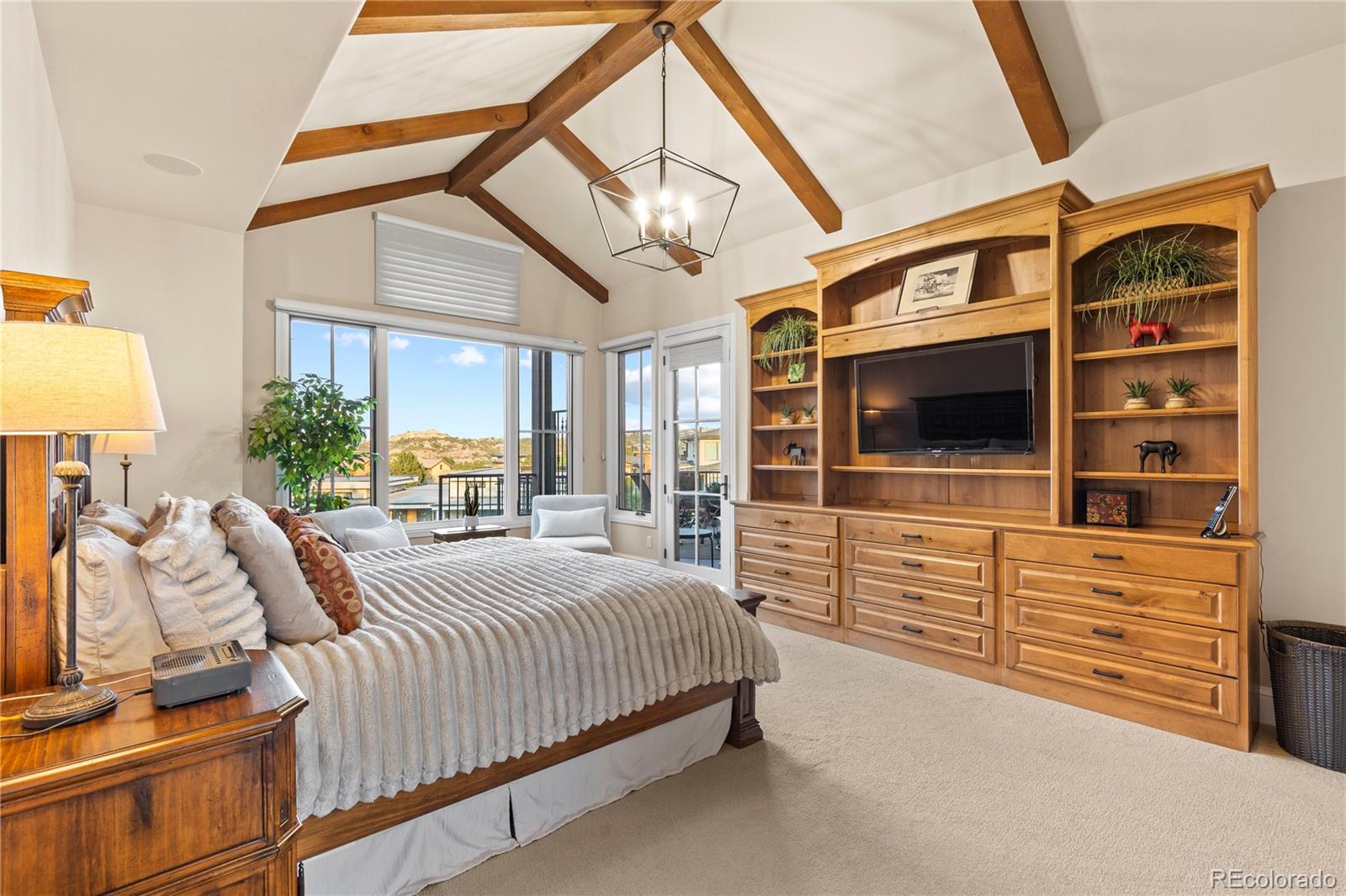 MLS Image #19 for 8002  galileo way,littleton, Colorado