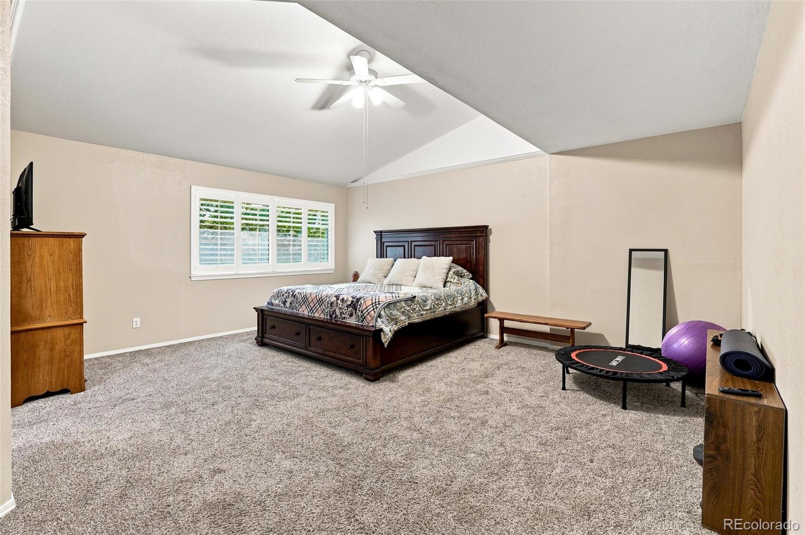 MLS Image #19 for 9836  florence place,highlands ranch, Colorado
