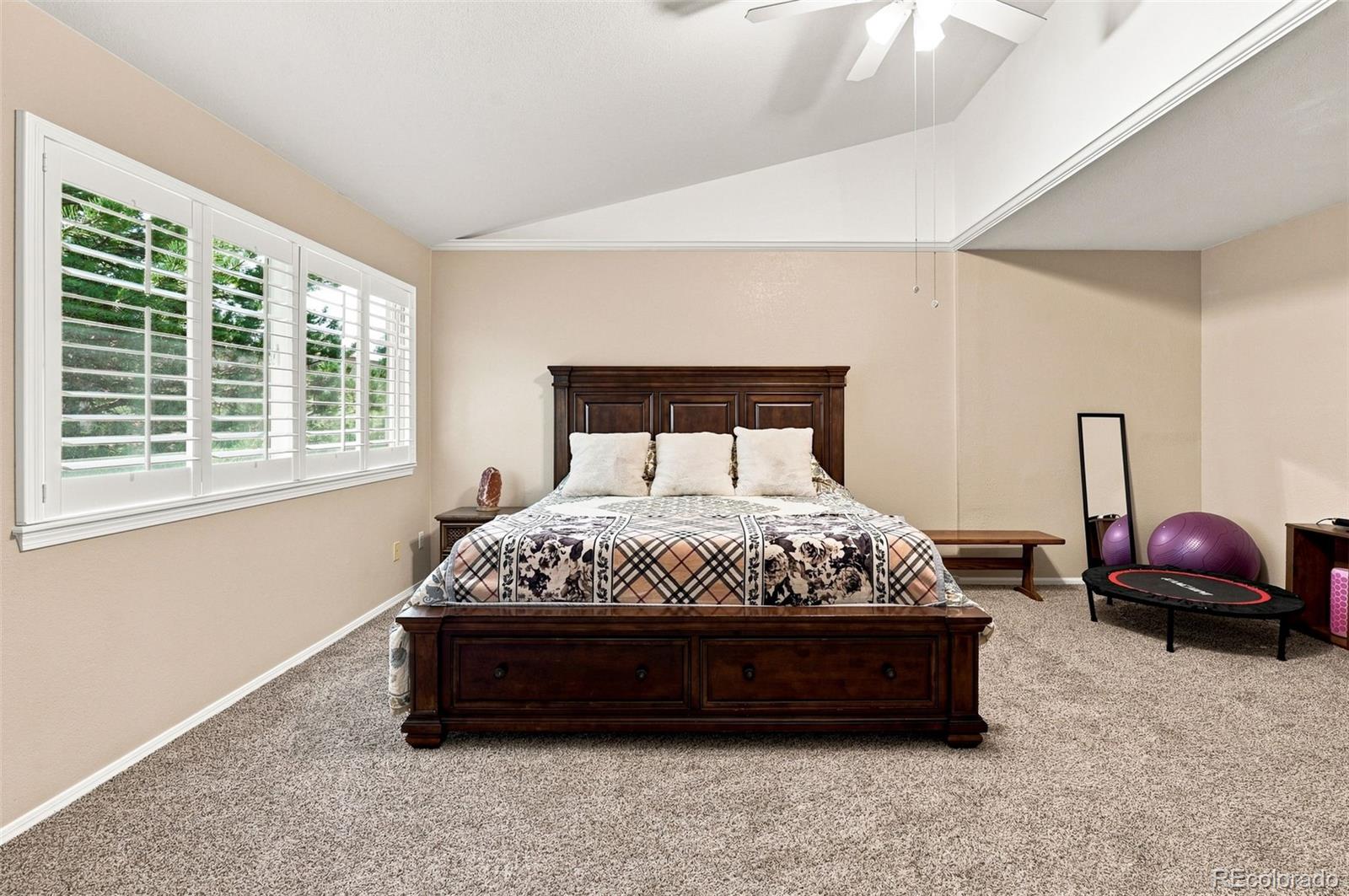 MLS Image #20 for 9836  florence place,highlands ranch, Colorado