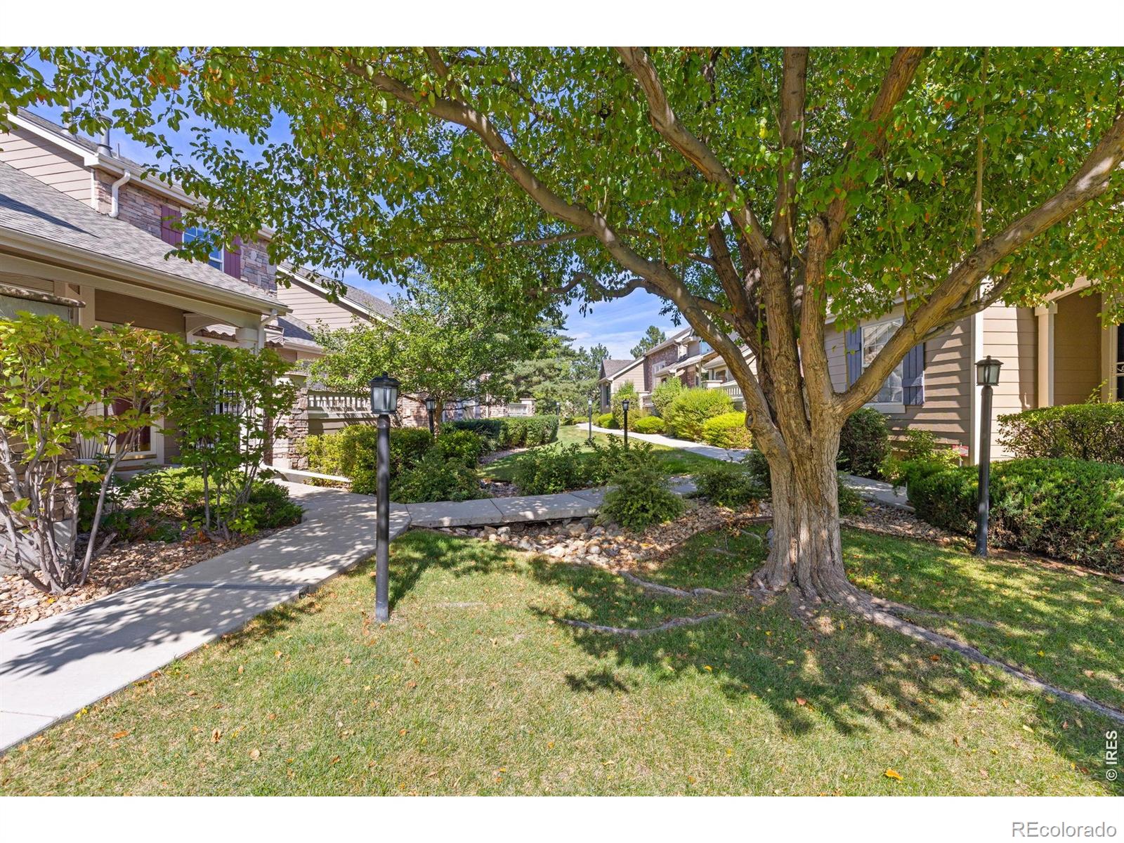 MLS Image #2 for 6296  terry street,arvada, Colorado