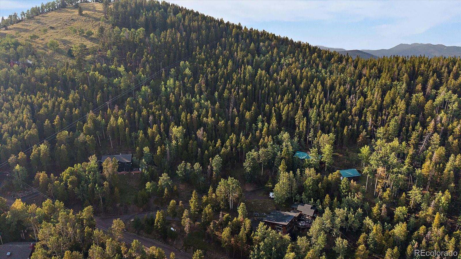MLS Image #3 for 66  lodgepole circle,evergreen, Colorado