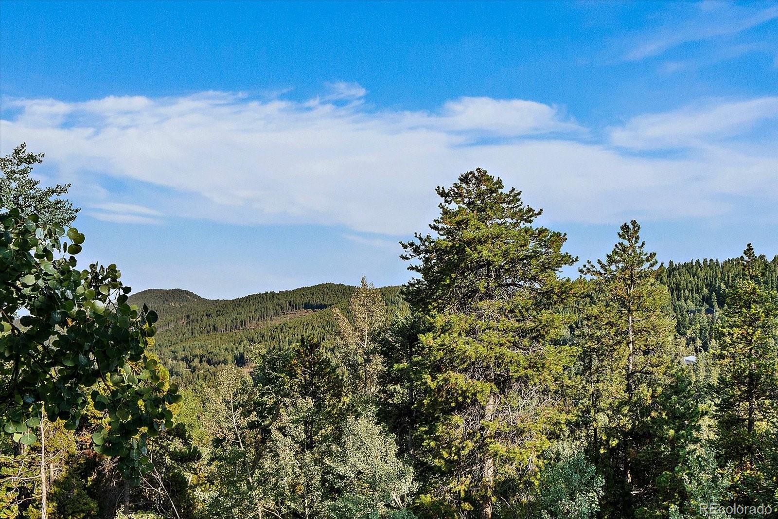 MLS Image #35 for 66  lodgepole circle,evergreen, Colorado