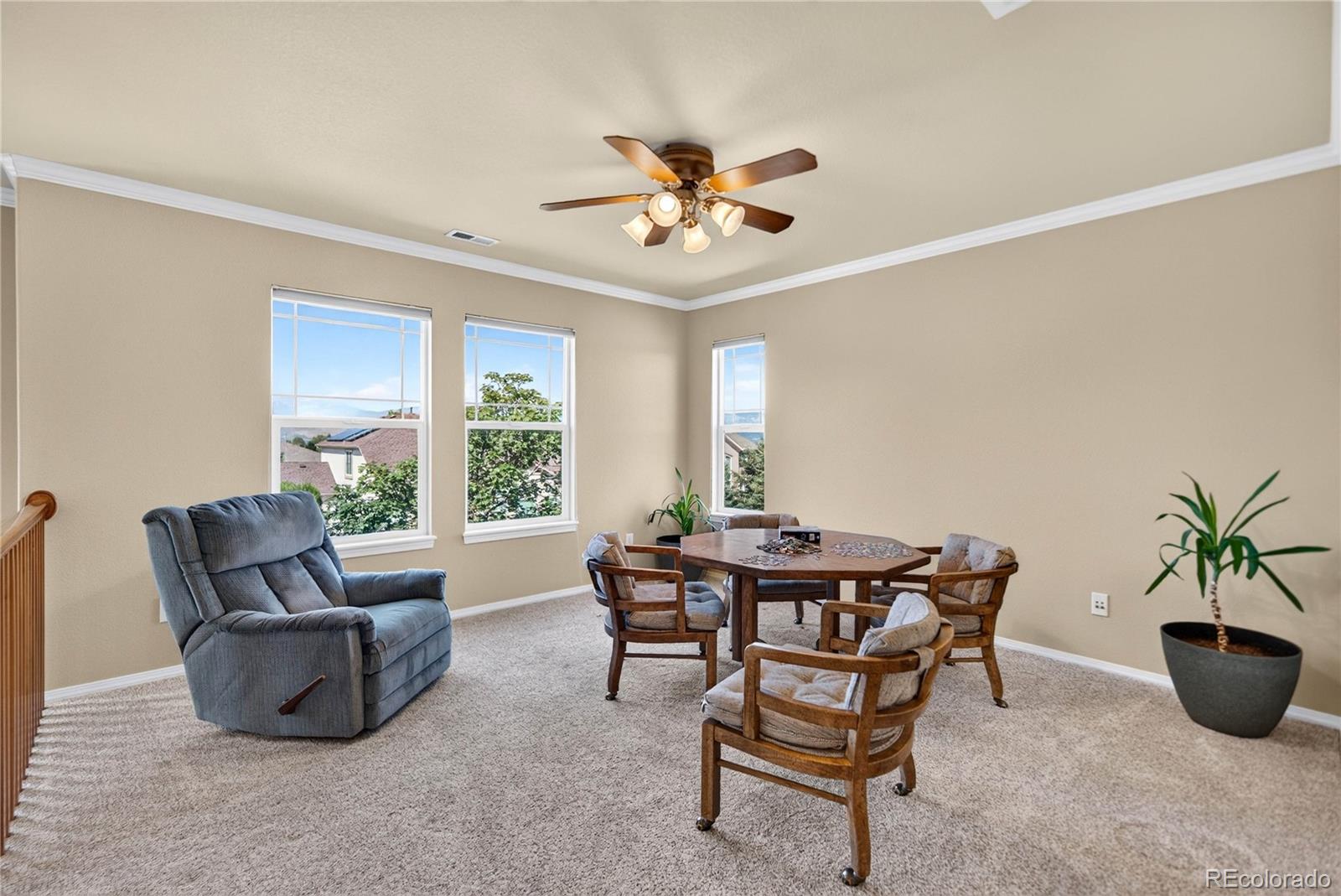 MLS Image #15 for 3519  oak meadow drive,colorado springs, Colorado