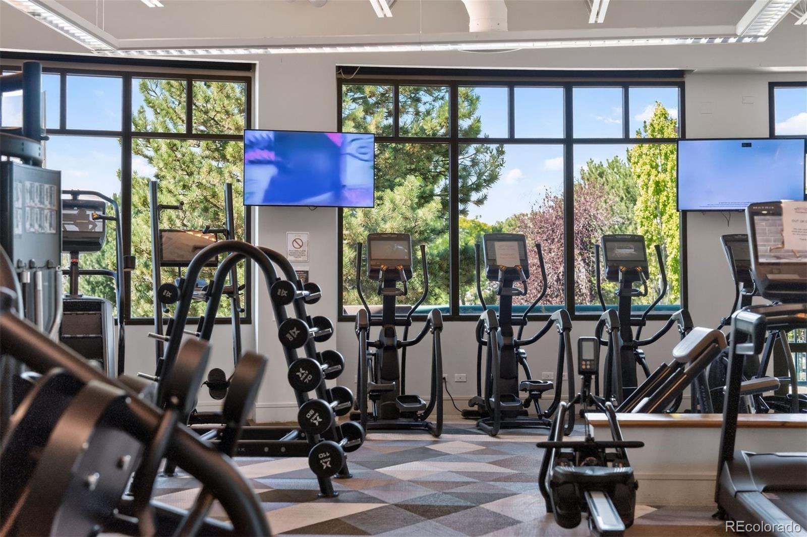 MLS Image #41 for 6496  silver mesa drive,highlands ranch, Colorado