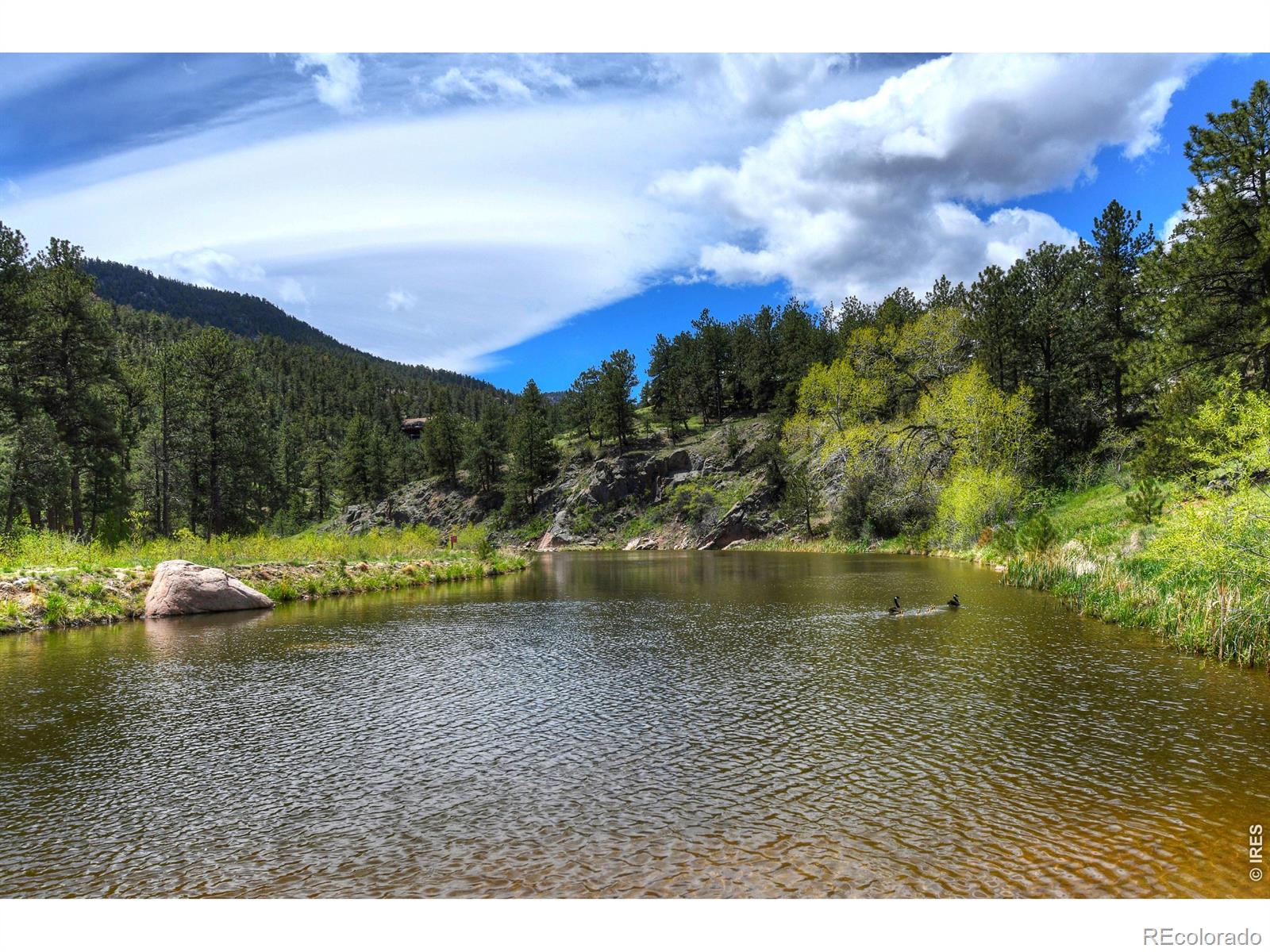 MLS Image #43 for 465  deer lane,lyons, Colorado
