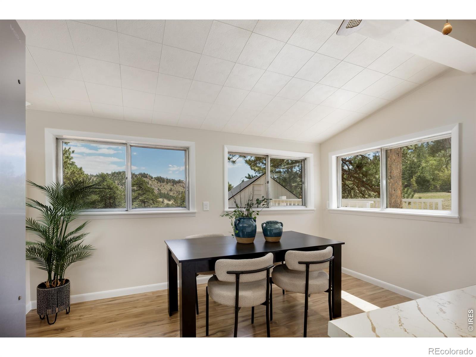 MLS Image #9 for 465  deer lane,lyons, Colorado