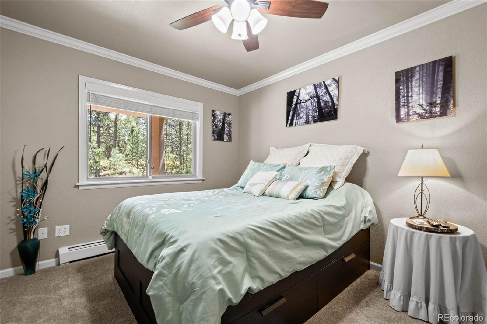 MLS Image #34 for 7524  engineers court,larkspur, Colorado