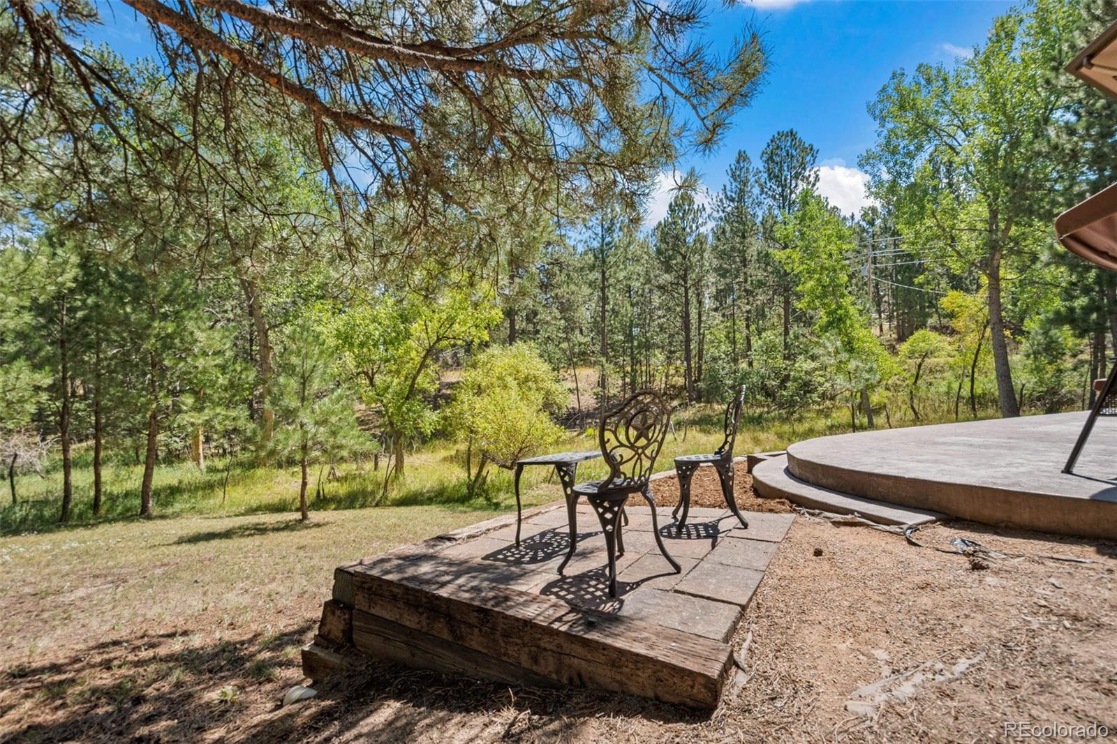 MLS Image #47 for 7524  engineers court,larkspur, Colorado