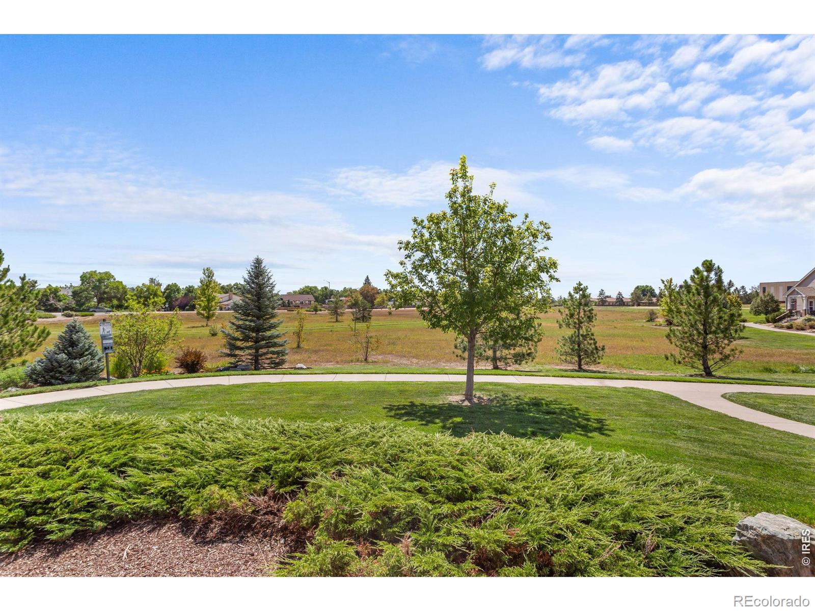 MLS Image #31 for 3010  champion circle,loveland, Colorado
